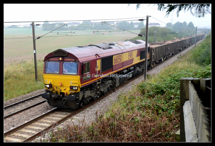 GR7_5895